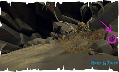 The grave of the hunter should be a skeleton, near the coast. . Sea of thieves krakens fall vault